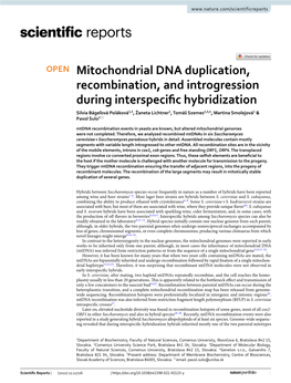 Mitochondrial DNA Duplication, Recombination, and Introgression During Interspecific Hybridization