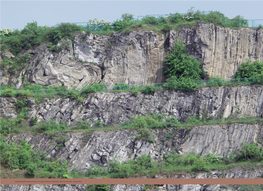 Carbonate-Platform Slope Succession in the Upper Devonian at Slichowice, Holy Cross Mountains, Central Poland