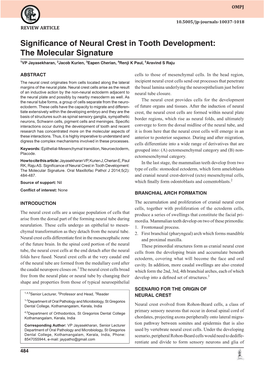 Significance of Neural Crest in Tooth Development