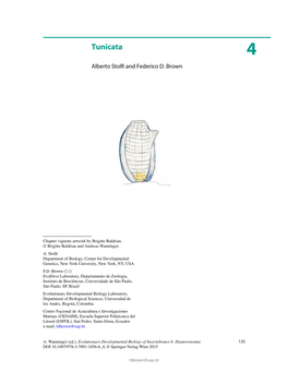 Tunicata 4 Alberto Stolﬁ and Federico D