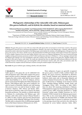 Phylogenetic Relationships of the Vulnerable Wild Cattle, Malayan Gaur (Bos Gaurus Hubbacki), and Its Hybrid, the Selembu, Based on Maternal Markers