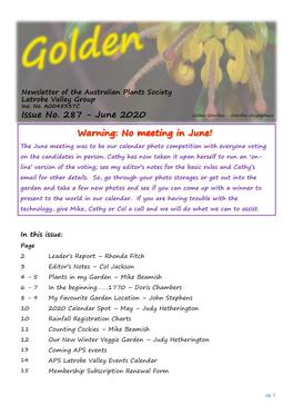 Issue No. 287 - June 2020 Golden Grevillea - Grevillea Chrysophaea 0