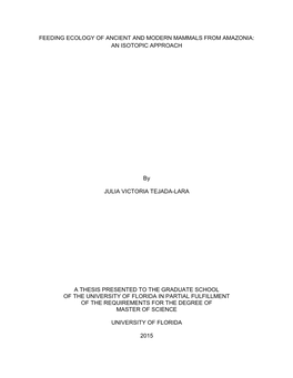 University of Florida Thesis Or Dissertation