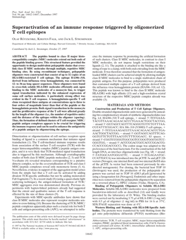 Superactivation of an Immune Response Triggered by Oligomerized T Cell Epitopes