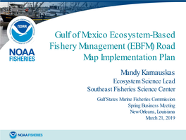 Gulf of Mexico Ecosystem-Based Fishery Management (EBFM)