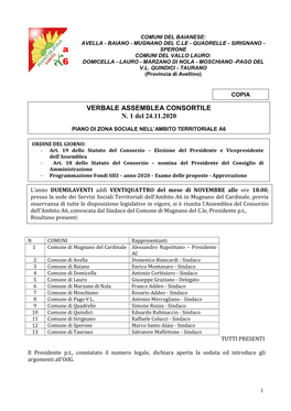 VERBALE ASSEMBLEA CONSORTILE N. 1 Del 24.11.2020