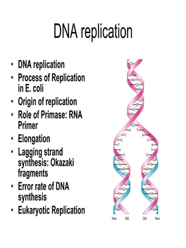 DNA Replication