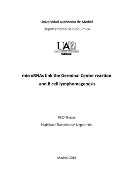 Micrornas Link the Germinal Center Reaction and B Cell Lymphomagenesis