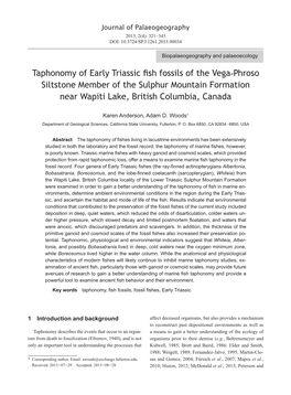 Taphonomy of Early Triassic Fish Fossils of the Vega-Phroso Siltstone Member of the Sulphur Mountain Formation Near Wapiti Lake, British Columbia, Canada