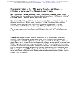 Dephosphorylation of the NPR2 Guanylyl Cyclase Contributes to Inhibition of Bone Growth by Fibroblast Growth Factor