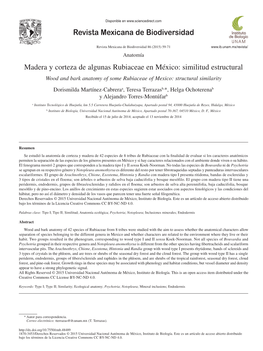 Madera Y Corteza De Algunas Rubiaceae En México: Similitud