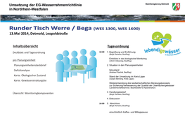 Runder Tisch Werre / Bega (WES 1300, WES 1600) 13.Mai 2014, Detmold, Leopoldstraße