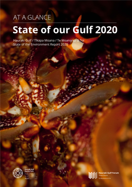 State of Our Gulf 2020