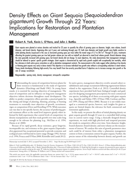 Density Effects on Giant Sequoia (Sequoiadendron Giganteum) Growth Through 22 Years: Implications for Restoration and Plantation Management