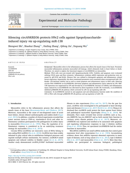 Experimental and Molecular Pathology 111 (2019) 104300