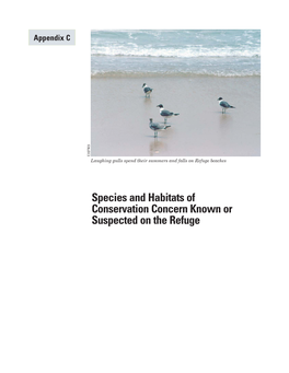 Appendix C USFWS Laughing Gulls Spend Their Summers and Falls on Refuge Beaches