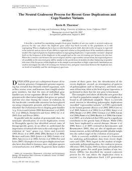 The Neutral Coalescent Process for Recent Gene Duplications and Copy-Number Variants