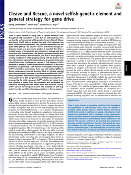 Cleave and Rescue, a Novel Selfish Genetic Element and General Strategy for Gene Drive