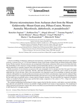 Diverse Microstructures from Archaean Chert from the Mount