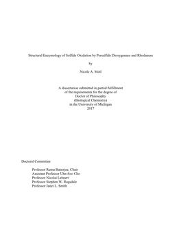 Structural Enzymology of Sulfide Oxidation by Persulfide Dioxygenase and Rhodanese