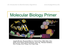 Molecular Biology Primer