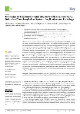 Molecular and Supramolecular Structure of the Mitochondrial Oxidative Phosphorylation System: Implications for Pathology