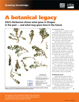 A Botanical Legacy OSU’S Herbarium Shows What Grew in Oregon in the Past — and What May Grow Here in the Future