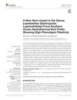 A New Vent Limpet in the Genus Lepetodrilus (Gastropoda: Lepetodrilidae) from Southern Ocean Hydrothermal Vent Fields Showing High Phenotypic Plasticity