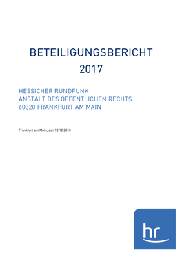 Beteiligungsbericht 2017