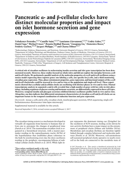 Pancreatic Α- and Β-Cellular Clocks Have Distinct Molecular Properties and Impact on Islet Hormone Secretion and Gene Expression