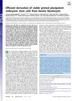 Efficient Derivation of Stable Primed Pluripotent Embryonic Stem Cells from Bovine Blastocysts