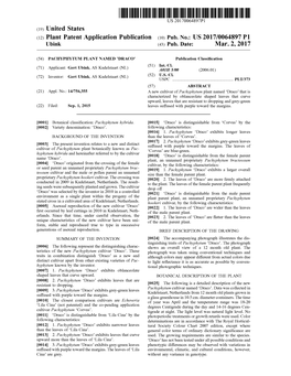 (12) Plant Patent Application Publication (10) Pub