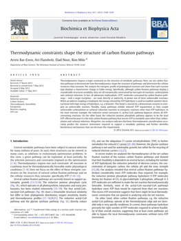 Thermodynamic Constraints Shape the Structure of Carbon Fixation Pathways