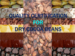 Quality Certification for Dry Cocoa Beans