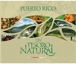 Puerto Rico: Un Tesoro Natural Puerto Rico: Un Tesoro Natural Puerto Rico: Un Tesoro Natural Puerto Rico: Un Tesoro Natural