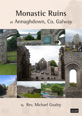 Monastic Ruins at Annaghdown, Co