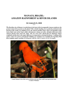 Manaus, Brazil: Amazon Rainforest & River Islands