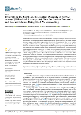 Unravelling the Symbiotic Microalgal Diversity in Buellia Zoharyi (Lichenized Ascomycota) from the Iberian Peninsula and Balearic Islands Using DNA Metabarcoding