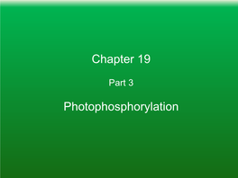 Chapter 19 Photophosphorylation