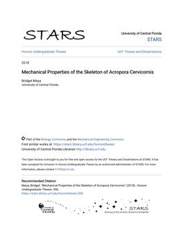 Mechanical Properties of the Skeleton of Acropora Cervicornis