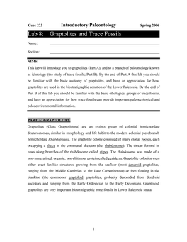 Lab 8: Graptolites and Trace Fossils