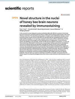 Novel Structure in the Nuclei of Honey Bee Brain Neurons Revealed by Immunostaining Paul J