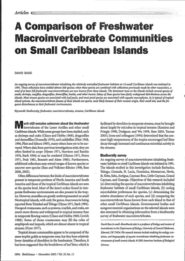 Macroinvertebrate Communlities on Small Caribbean Islands
