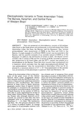 Electrophoretic Variants in Three Amerindian Tribes: the Baniwa, Kanamari, and Central Pano of Western Brazil