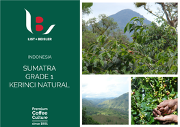 Indonesia Sumatra Grade 1 Kerinci Natural