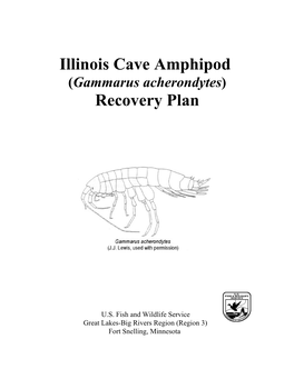 Illinois Cave Amphipod (Gammarus Acherondytes) Recovery Plan