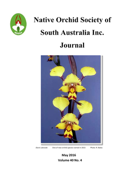 Native Orchid Society of South Australia Inc