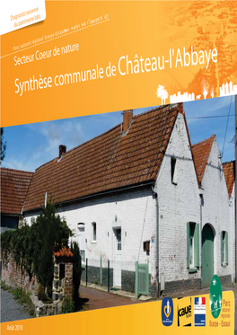 Synthèse Communale De Château L