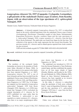 Crustacean Research 50 LAMPROGLENA from JAPAN