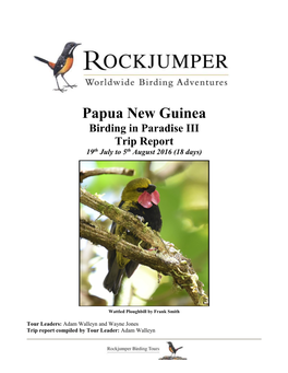 Papua New Guinea Birding in Paradise III Trip Report 19Th July to 5Th August 2016 (18 Days)